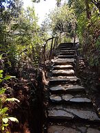 La Rueda del Chucao