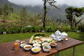 Tea & Experience Factory