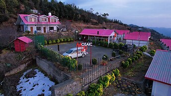 Mosaic Go, Chail
