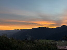 Mosaic Go, Chail