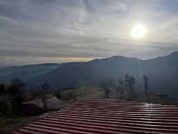 Mosaic Go, Chail