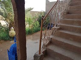 Riad Desert Camel