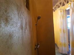 Riad Desert Camel