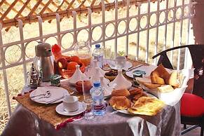 Riad Zagora Palms