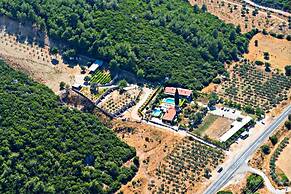 Turnabogazi Ciftlik Evleri
