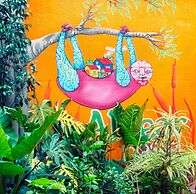 Hostel Alvear