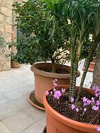 Hedera