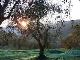 Agriturismo Al Pagan