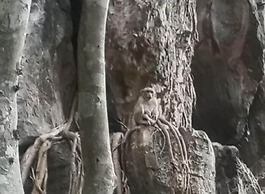 Art Khamu Homestay