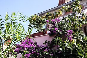 Apartments Vodaric