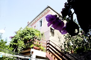 Apartments Vodaric