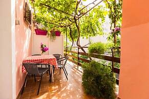 Apartments Vodaric