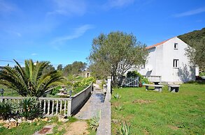 House Branka