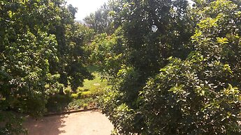 Romu Garden Hotel