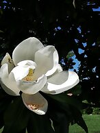 Domaine Abartiague B&B