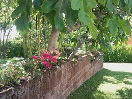 Pier delle Vigne B&B