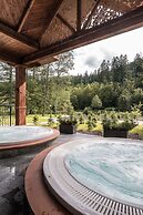 Aries Hotel & SPA Wisla