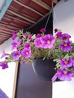 Cabaña Miroji