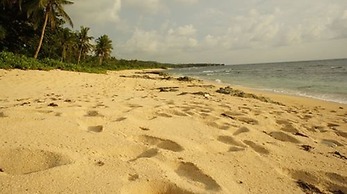 Veue Beach Cabins
