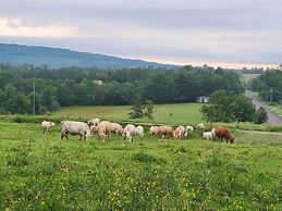 Crabbe Mountain Inn