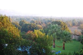 Finca Son Vivot