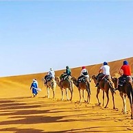 Camels House