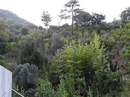 Waldvilla
