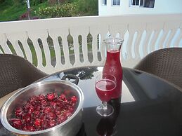 Pearl Ocean Villa
