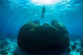 Wilson Island