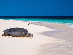 Wilson Island