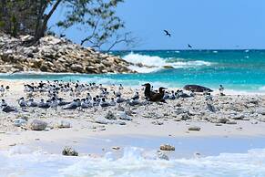 Wilson Island
