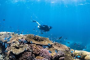 Wilson Island