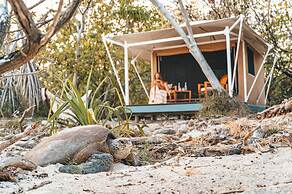 Wilson Island