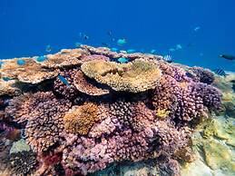 Wilson Island