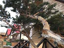 Park-hotel Baikal-Dar