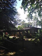 Finca Guarumo - Hostel