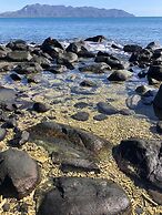 Camp Island Lodge