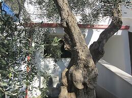 Villa Elisa Vieste