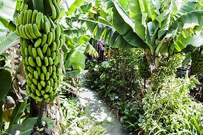 Finca Arminda
