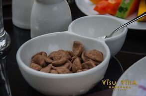 Visu Villa