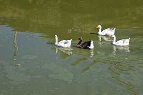 Agriturismo Al Lago Verde