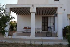 Dar Arous