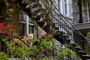 Pied-A-Terre Mont-Royal - Hostel