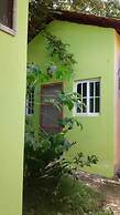 Green Jungle Hotel y Restaurante
