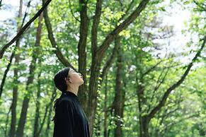 Villa Metsä Karuizawa