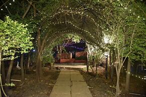 Wild Camp Resort