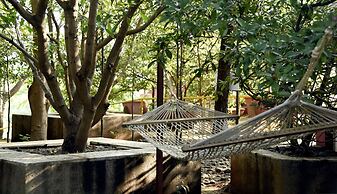 Wild Camp Resort