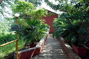 Wild Camp Resort