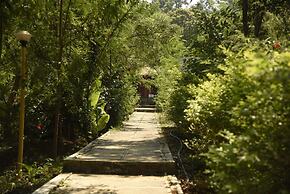 Wild Camp Resort