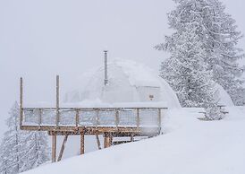 Alpin D’Hôme